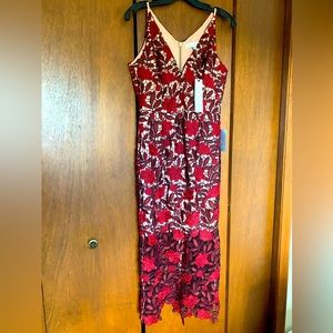 Dress the Population Embroidered Dress